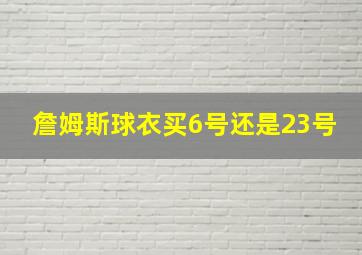 詹姆斯球衣买6号还是23号