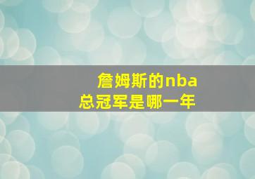 詹姆斯的nba总冠军是哪一年