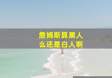 詹姆斯算黑人么还是白人啊