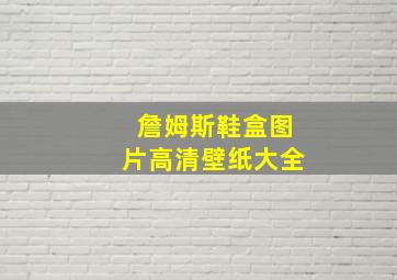 詹姆斯鞋盒图片高清壁纸大全