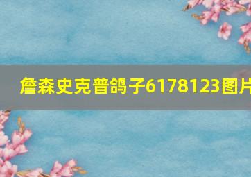 詹森史克普鸽子6178123图片