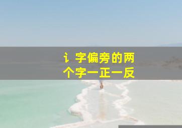 讠字偏旁的两个字一正一反