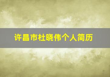 许昌市杜晓伟个人简历