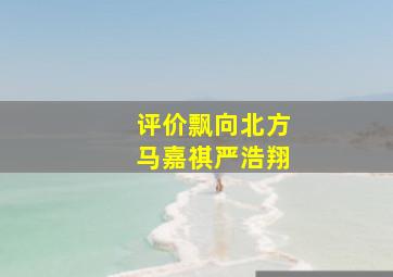 评价飘向北方马嘉祺严浩翔