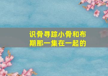 识骨寻踪小骨和布期那一集在一起的