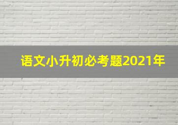 语文小升初必考题2021年