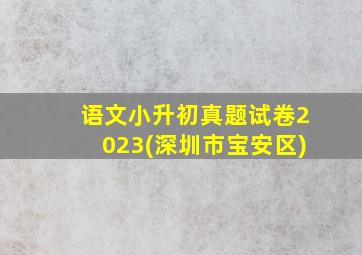 语文小升初真题试卷2023(深圳市宝安区)