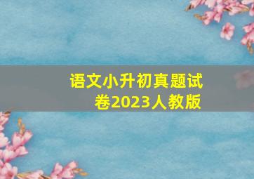 语文小升初真题试卷2023人教版