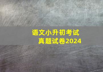 语文小升初考试真题试卷2024