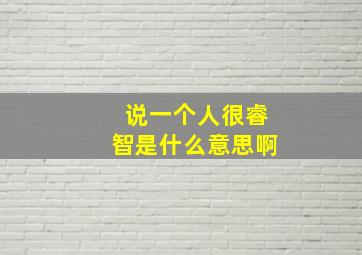 说一个人很睿智是什么意思啊