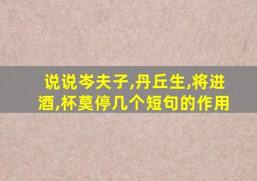 说说岑夫子,丹丘生,将进酒,杯莫停几个短句的作用