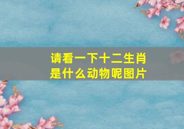 请看一下十二生肖是什么动物呢图片