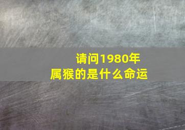 请问1980年属猴的是什么命运