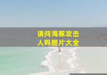 请问海豚攻击人吗图片大全