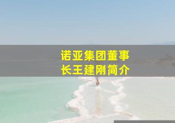 诺亚集团董事长王建刚简介