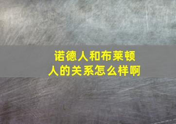 诺德人和布莱顿人的关系怎么样啊