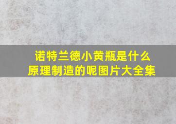 诺特兰德小黄瓶是什么原理制造的呢图片大全集