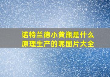 诺特兰德小黄瓶是什么原理生产的呢图片大全