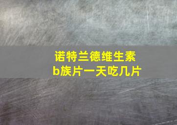 诺特兰德维生素b族片一天吃几片