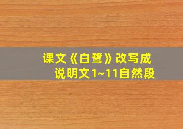 课文《白鹭》改写成说明文1~11自然段