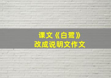 课文《白鹭》改成说明文作文