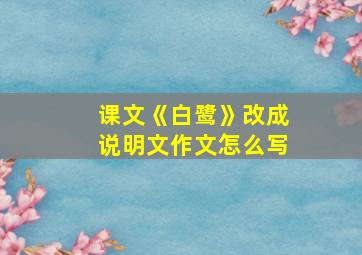 课文《白鹭》改成说明文作文怎么写