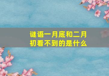 谜语一月底和二月初看不到的是什么