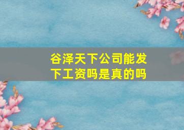 谷泽天下公司能发下工资吗是真的吗