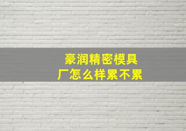 豪润精密模具厂怎么样累不累