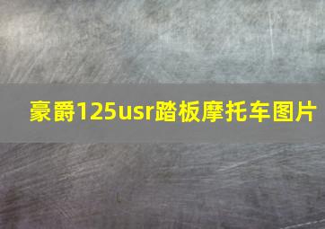 豪爵125usr踏板摩托车图片