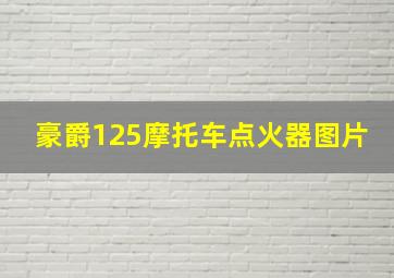 豪爵125摩托车点火器图片