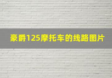 豪爵125摩托车的线路图片