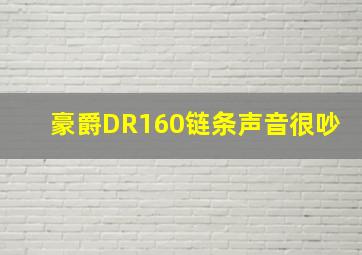 豪爵DR160链条声音很吵