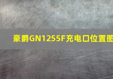 豪爵GN1255F充电口位置图