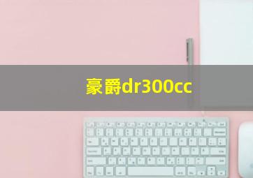 豪爵dr300cc