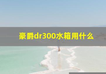 豪爵dr300水箱用什么