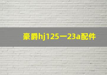 豪爵hj125一23a配件