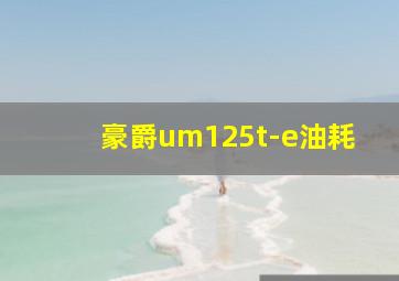 豪爵um125t-e油耗