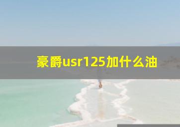 豪爵usr125加什么油