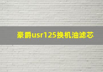 豪爵usr125换机油滤芯