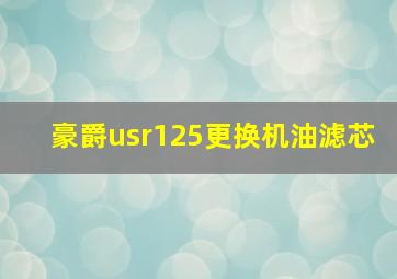 豪爵usr125更换机油滤芯