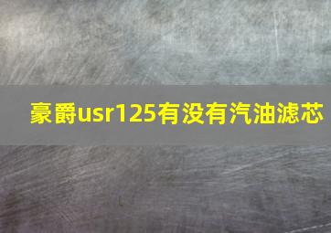 豪爵usr125有没有汽油滤芯