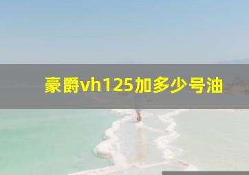 豪爵vh125加多少号油