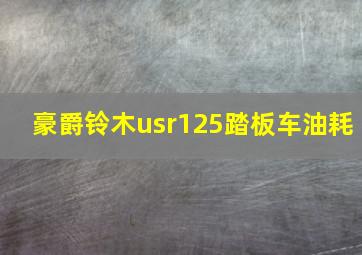 豪爵铃木usr125踏板车油耗