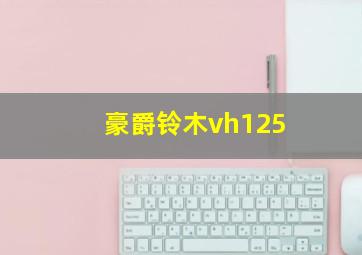 豪爵铃木vh125