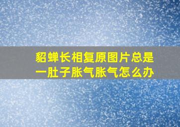 貂蝉长相复原图片总是一肚子胀气胀气怎么办