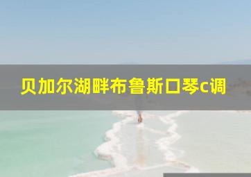 贝加尔湖畔布鲁斯口琴c调