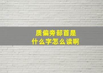 质偏旁部首是什么字怎么读啊