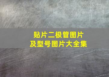 贴片二极管图片及型号图片大全集