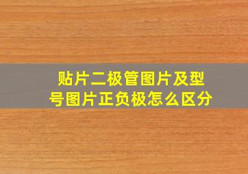 贴片二极管图片及型号图片正负极怎么区分